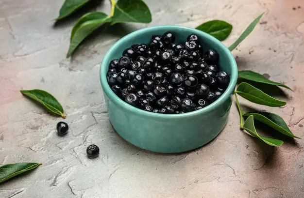 GlucoBerry Ingredient